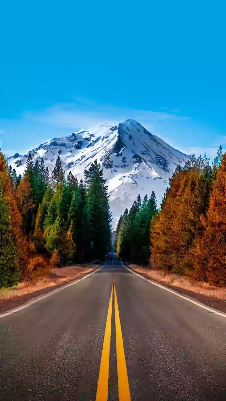 No Flights, Freezing Cold: Why EAM Jaishankar Had to Travel 670 km by Road in the US  — Inside a Rare Operation