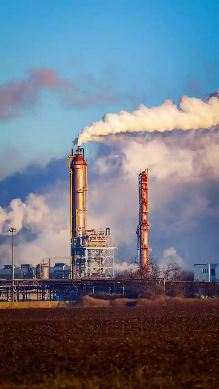Air Pollution And Dementia Study: Biological Ageing Markers Explained
