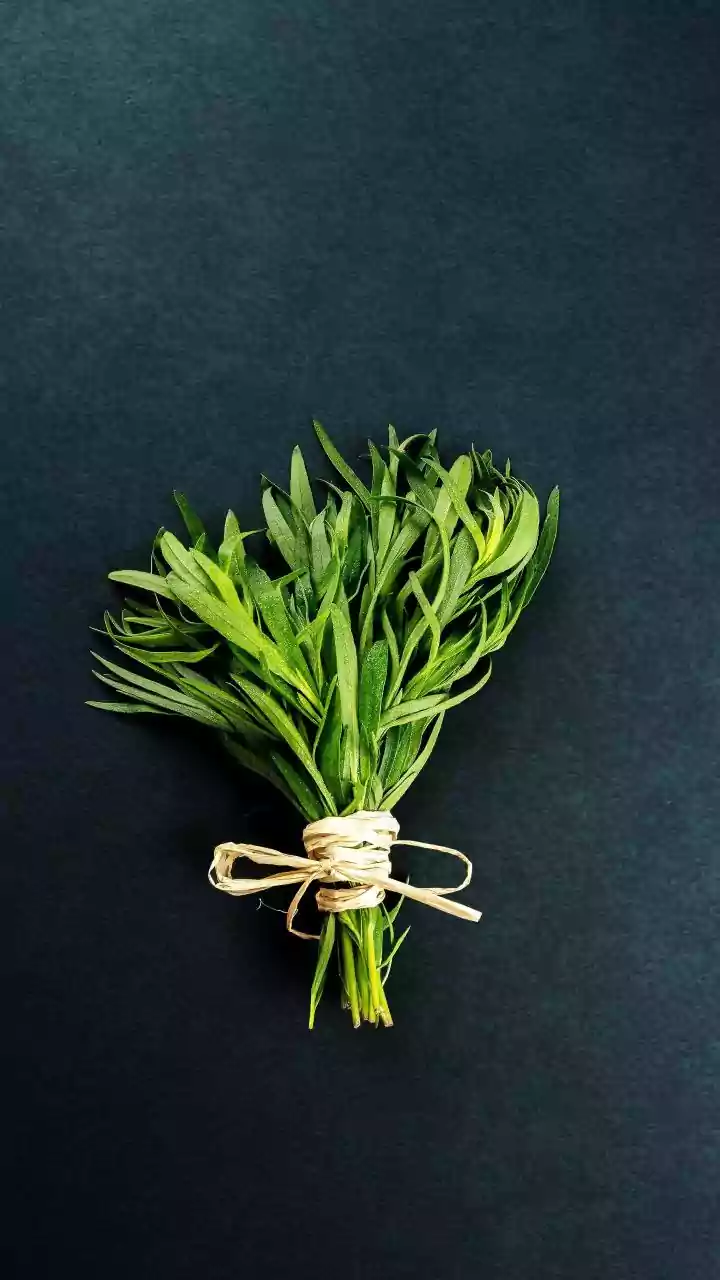 Fresh Herbs Lose Brightness When Cooked Too Long