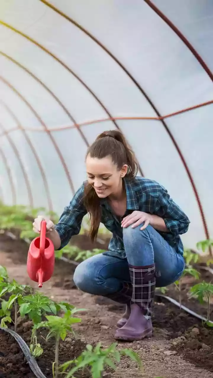 How To Restore Beneficial Microbial Life In Urban Garden Soil After Prolonged Waterlogging
