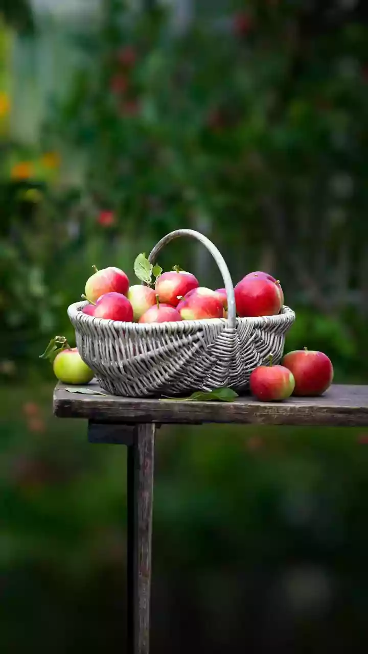 Kashmir Cooperatives Upgrade Cold Chain Storage Systems To Protect Heritage Apple Harvests