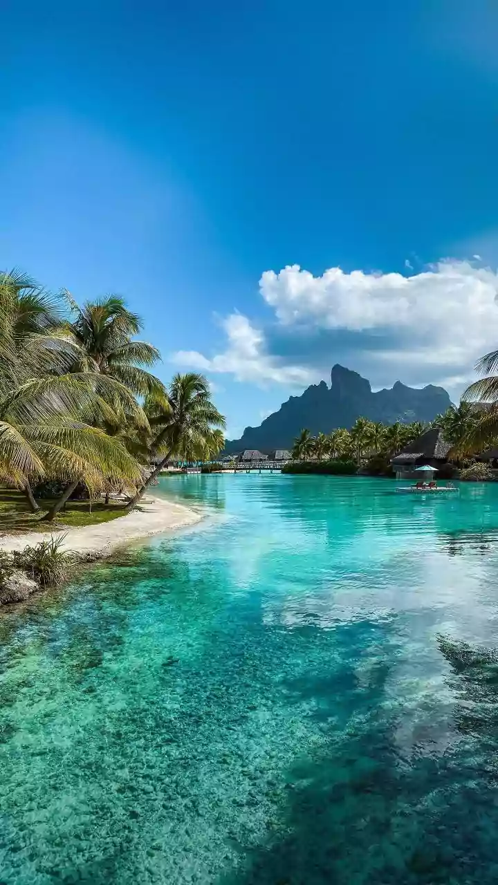 The Postcard Hotel Takes Awards Across Beach, Mountain And Wildlife Properties With Wins 12 Honours At The World Travel Awards 2026