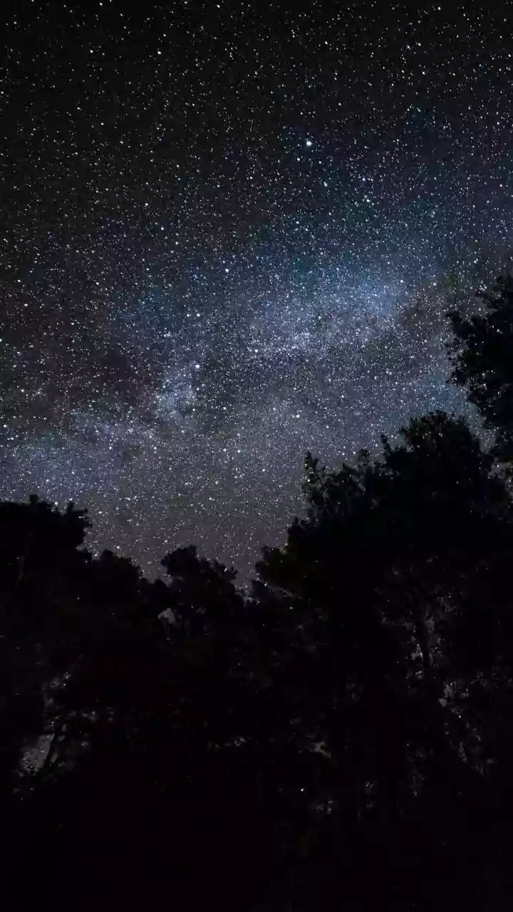 Where Night Sky Observers In India Should Go To View Peak Shooting Stars