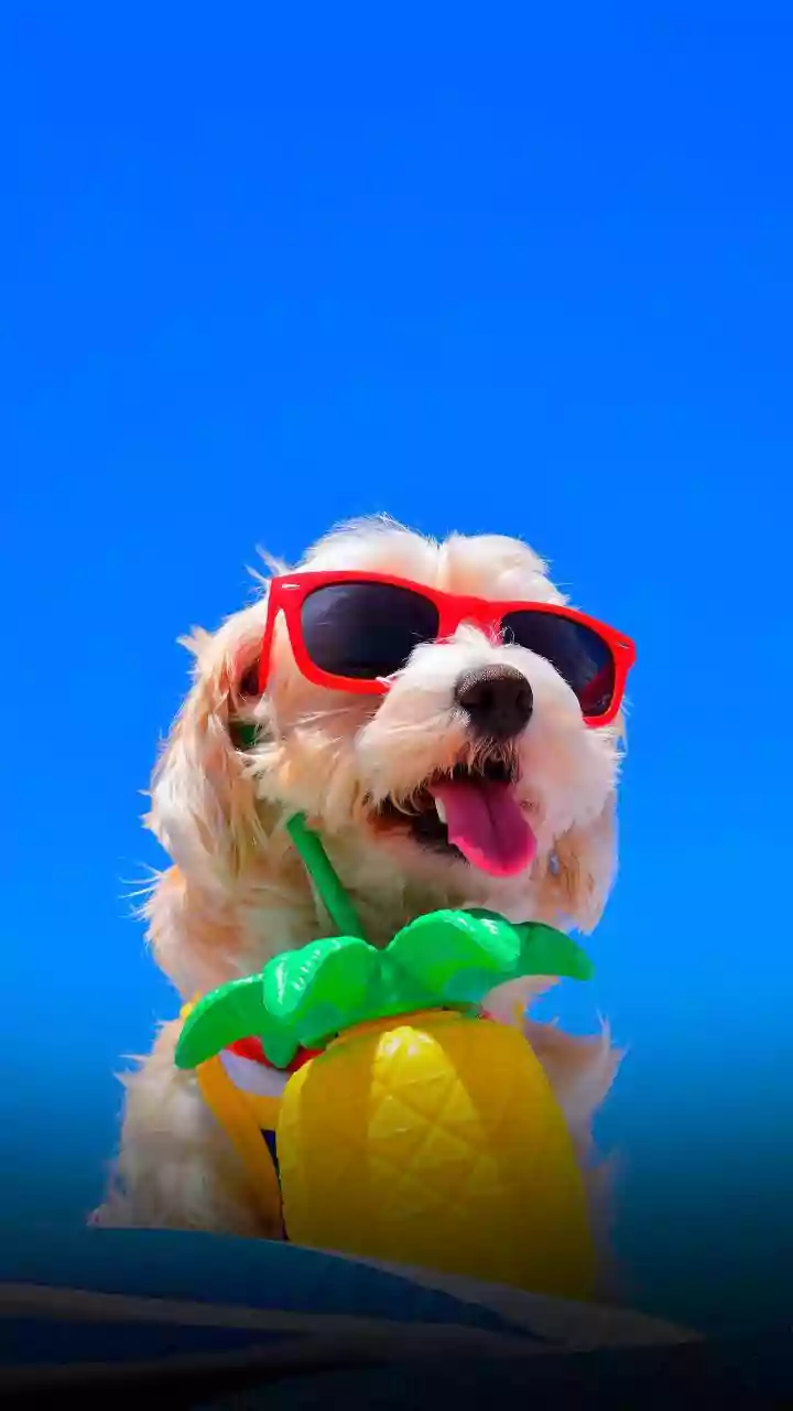 UV index update—don’t risk burns under midday sun.