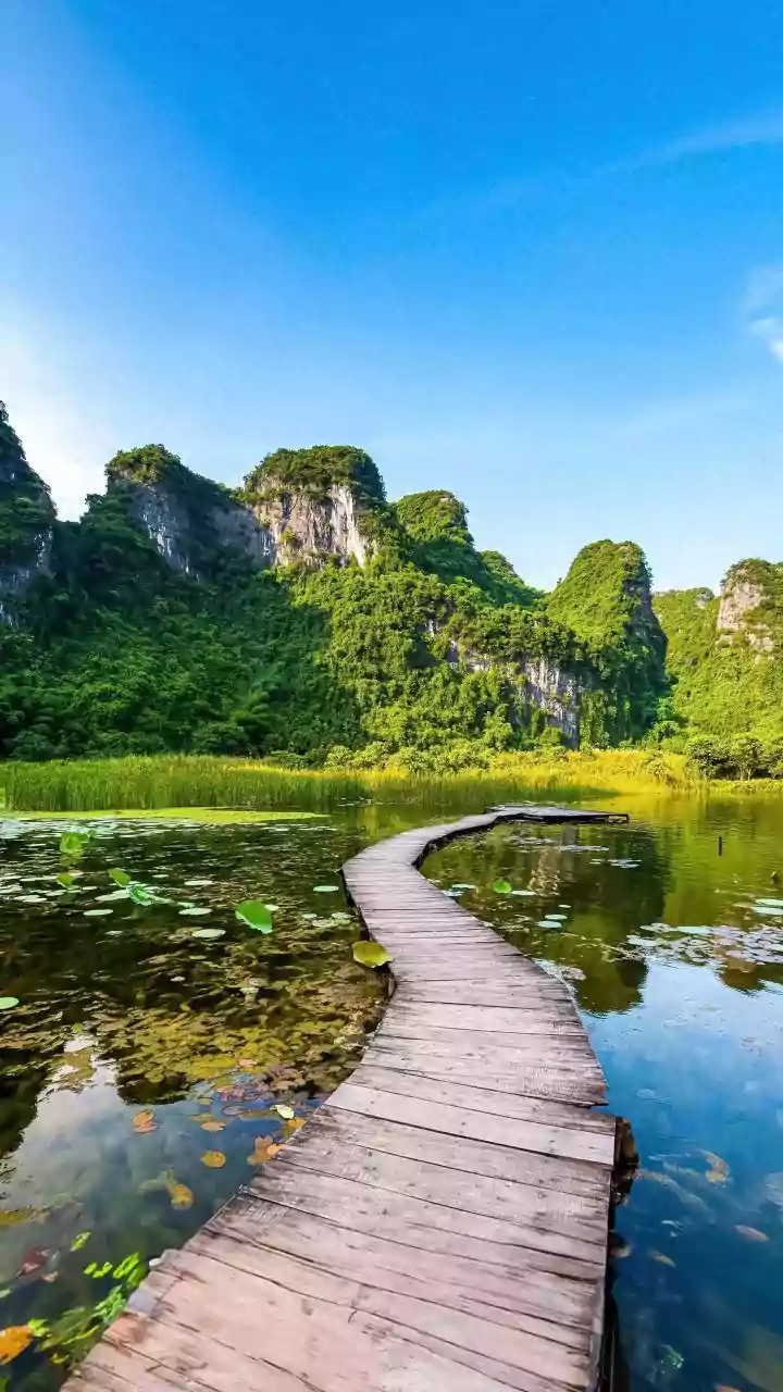 Indian Solo Travellers Share Secrets To A ₹35,000 Week-Long Vietnam Adventure