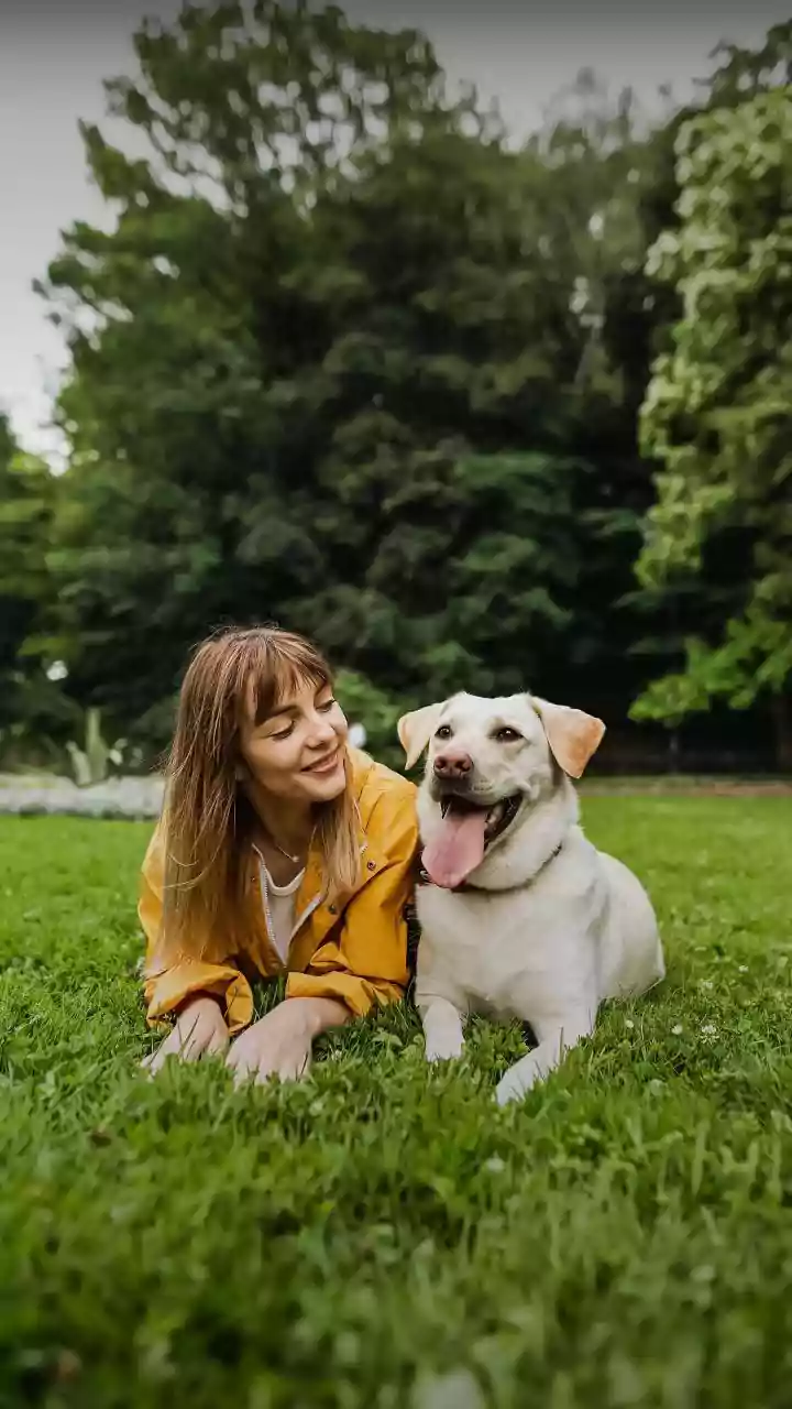 Unlocking Pet Behavior: Gut Health Connection