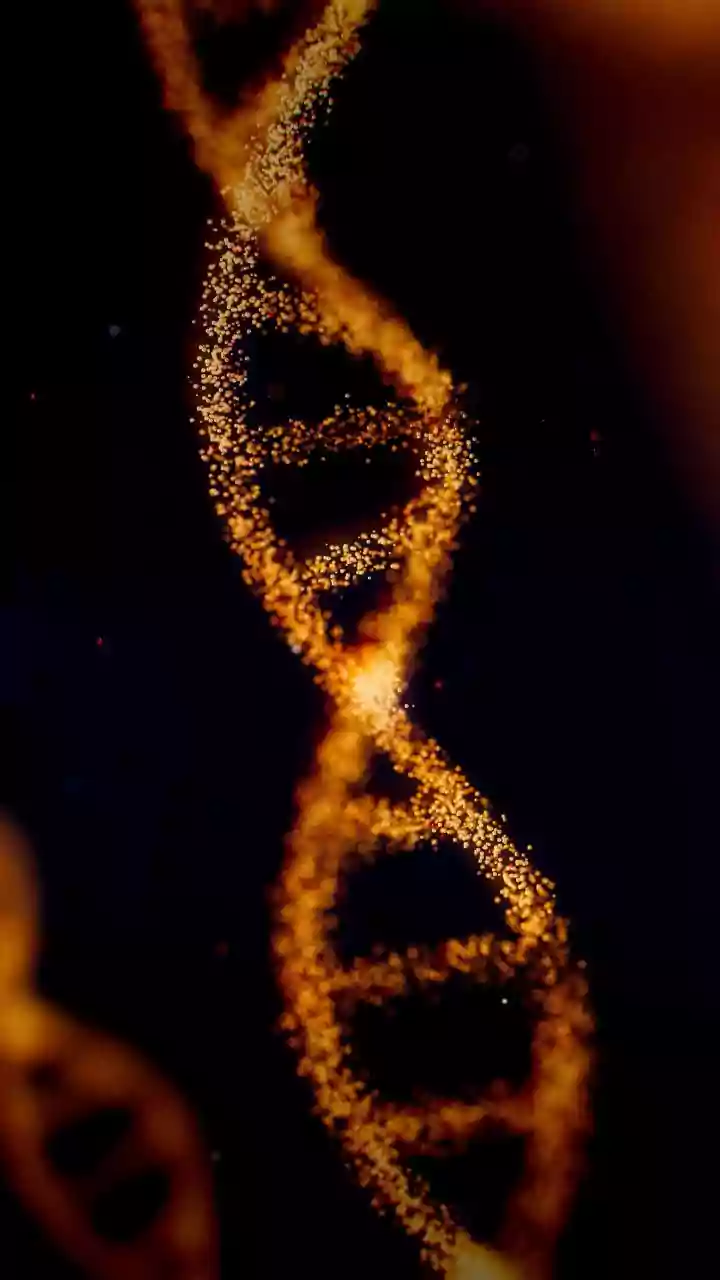 After Her Husband, She Took A DNA Test 'Just for Fun'. But The Results Changed Her Life