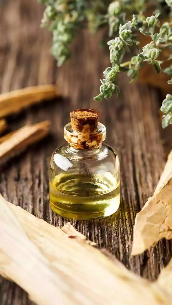 Zero waste herb oil infusions convert leftover coriander stems into rich flavor