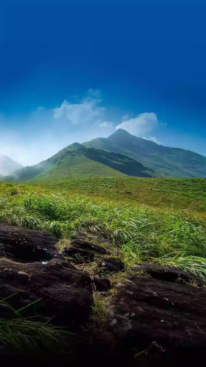 Coimbatore Opens a Western Ghats Gateway for Tamil Nadu Monsoon Travel