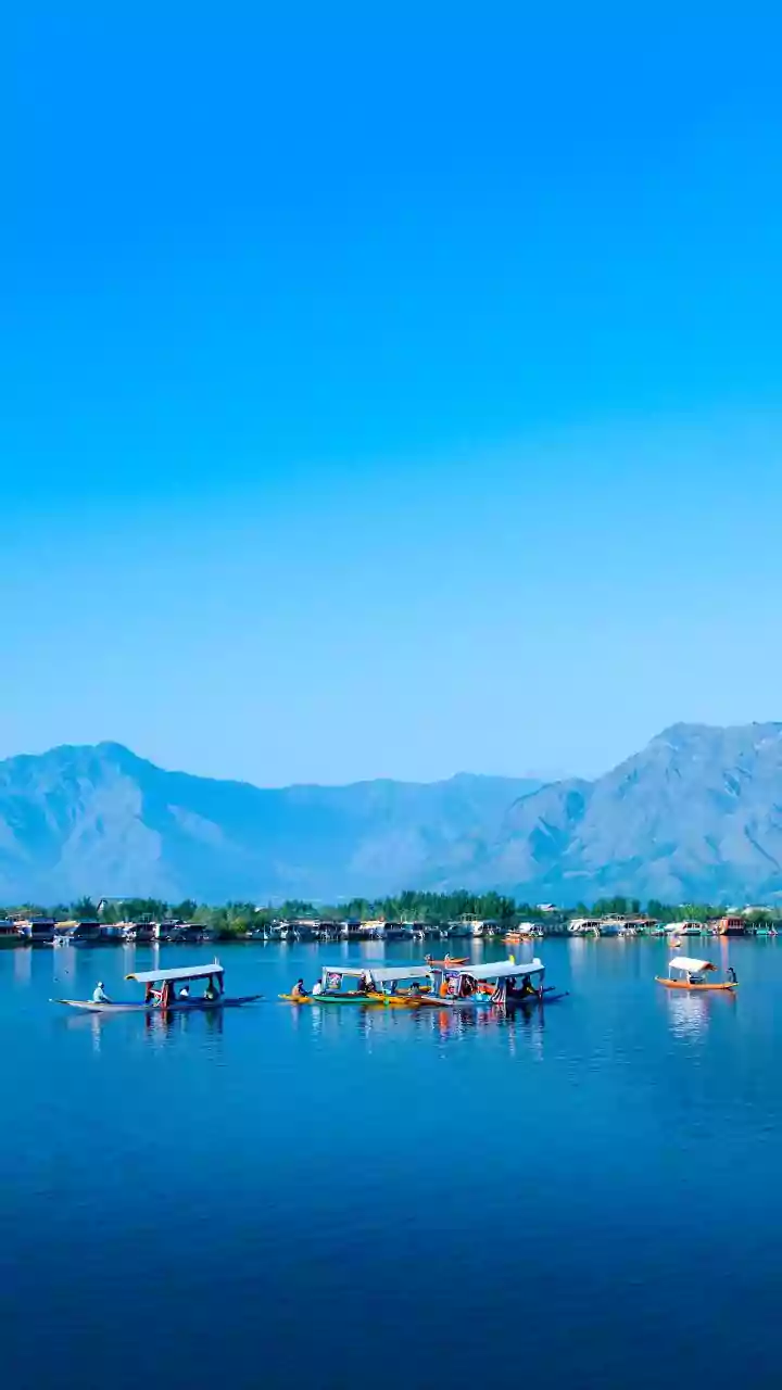 J-K: Over 50 IndiGo flights cancelled; passengers left in the lurch