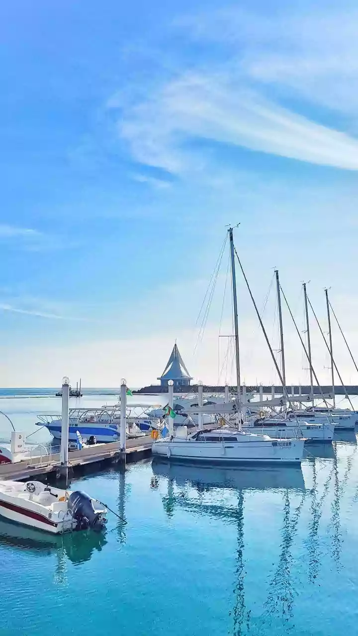 Mumbai’s Rs 887-Crore World-Class Marina: 424 Yachts, Sailing School, 2,000 Jobs & More