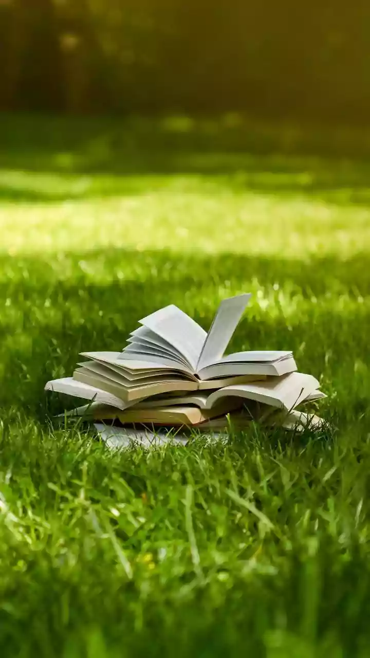 Indian Cities Could Pair Reading Spaces with Local-Language Collections