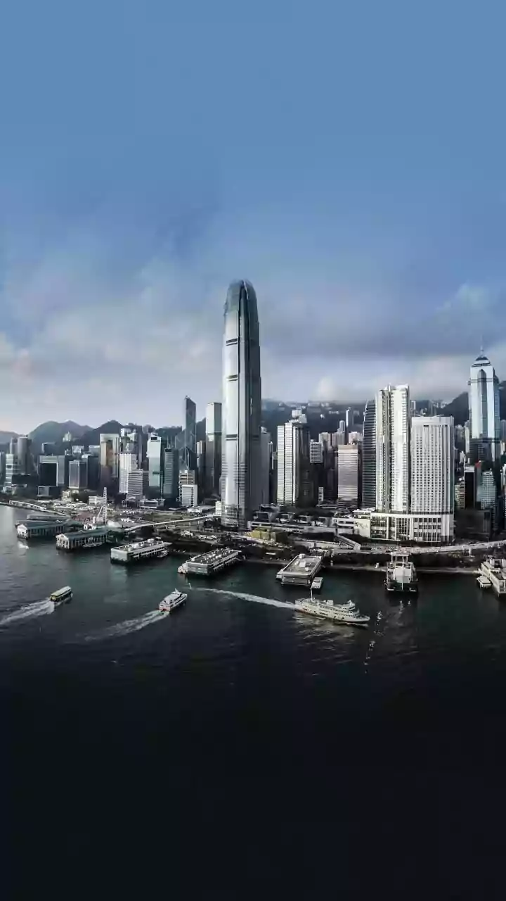 Diversifying Abroad Can Reduce Home-Market Concentration, Not Overall Risk