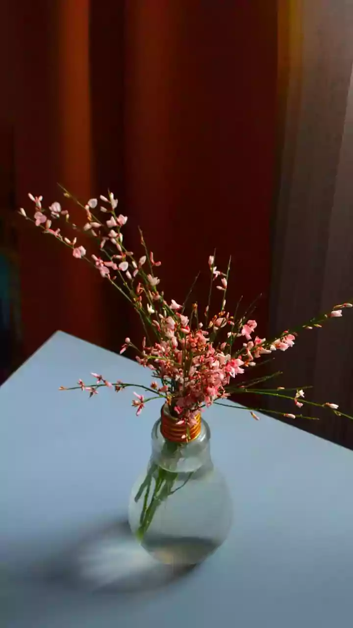 How To Build A Traditional Pookkalam While Keeping Flower Use Manageable