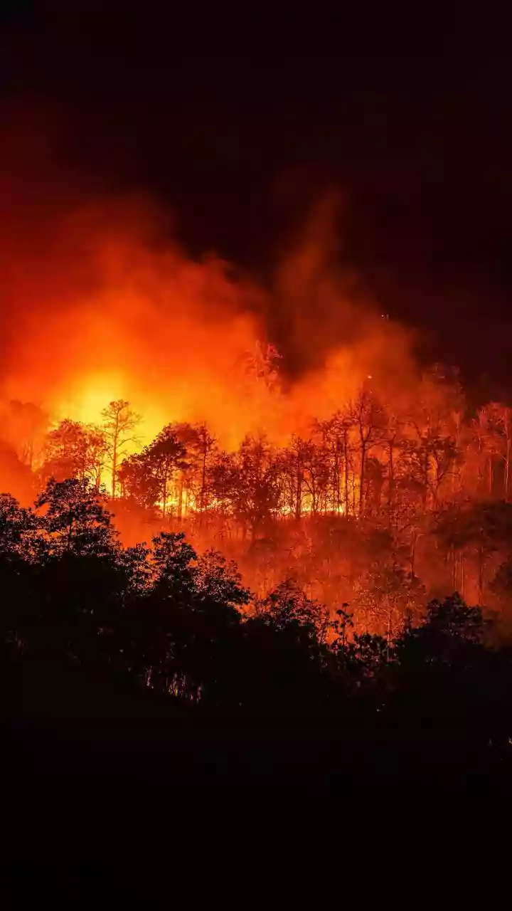 India's Forest Fire Policies Focused on Suppression Despite Climate Challenges