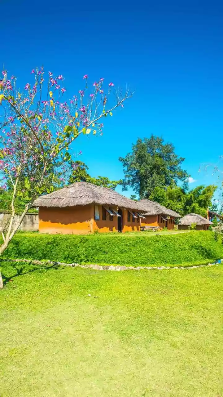 Bamboo Treehouses Redefine Sustainable Escapes Across Eco Friendly Wayanad Resorts
