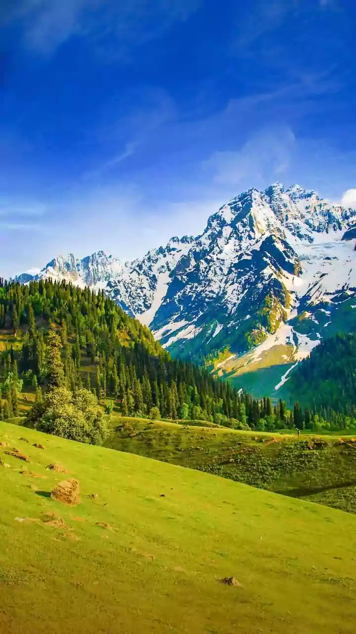 Kazakhstani Mountain Escapes See Surge In Indian Visitors Driven By Direct Almaty Flights