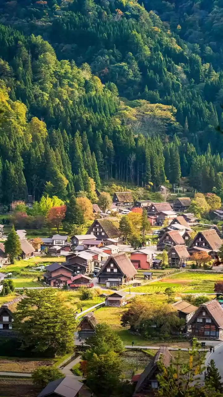 Shimla, Ooty or Tawang—which stays pleasant this March?