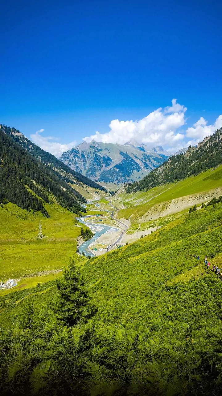 Next Gen Indians Smash Record High Orders For Amarnath Passes
