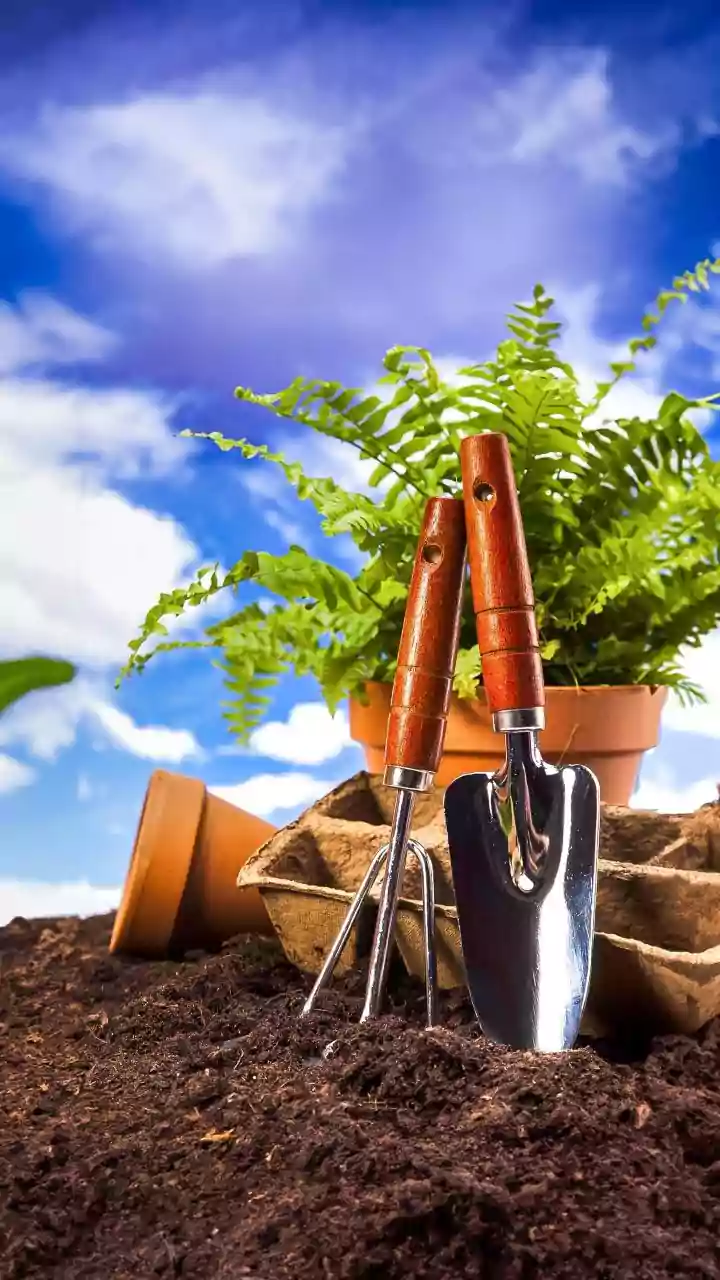 Balcony Gardening In November: How To Soil Prep Pots For Winter Vegetable Crops