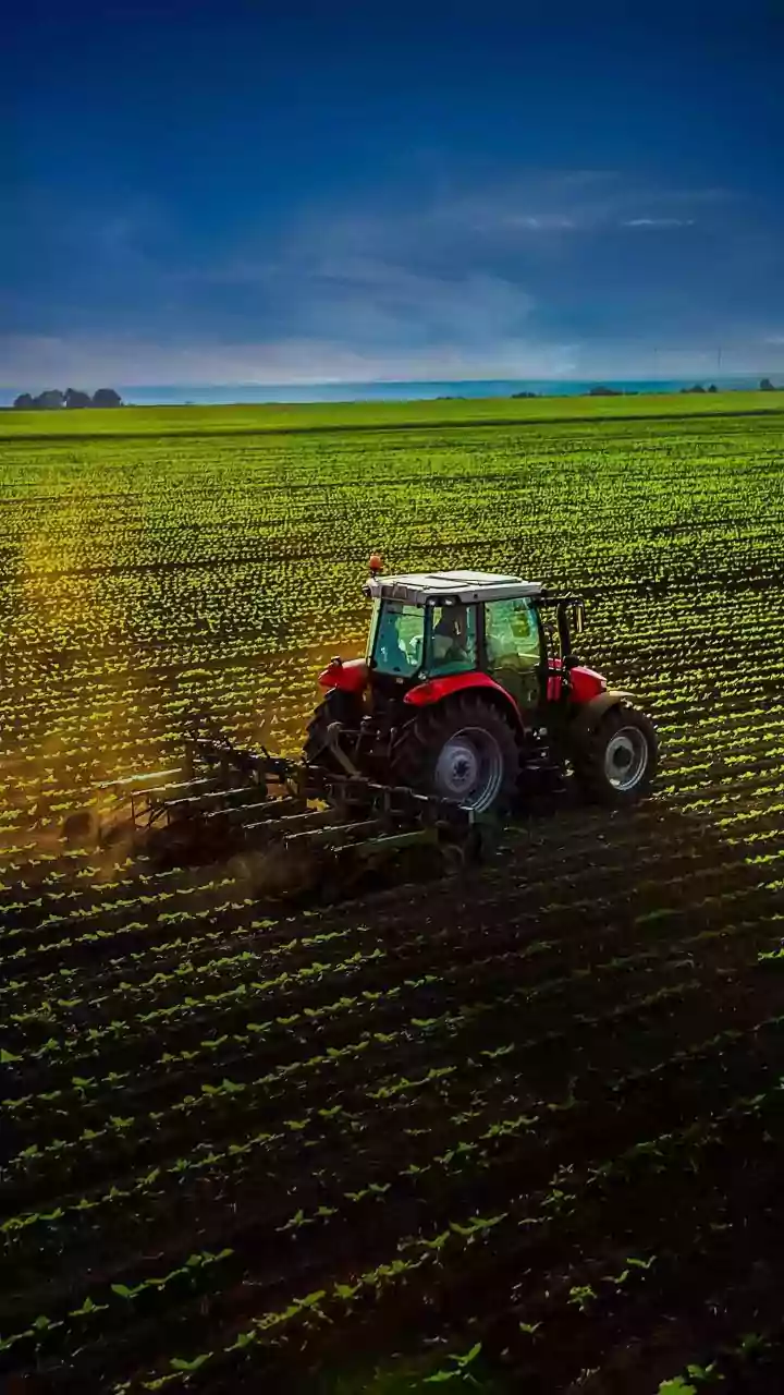 Miscreants Throw Chilli Powder In Madhya Pradesh Farmer's Eyes, Rob Rs 25 Lakh; Probe On