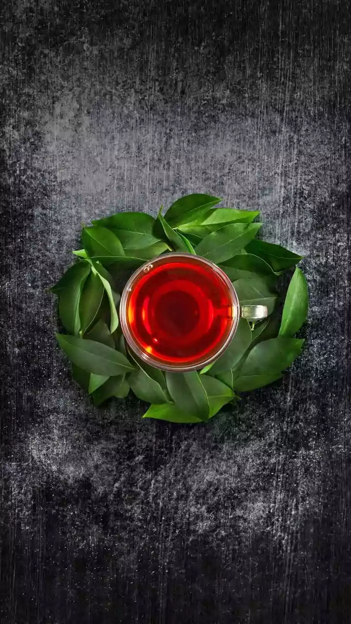 Slow Steeped Cold Teas Use Vetiver And Hibiscus Over Artificial Syrups