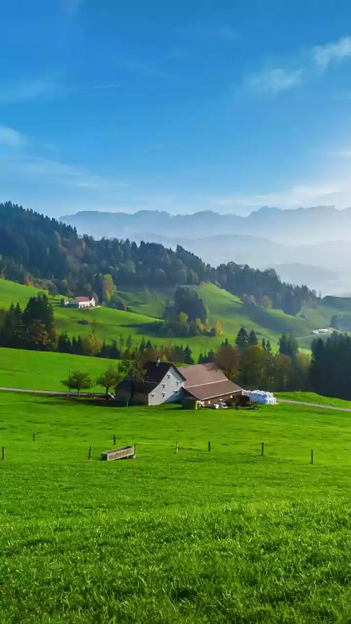 Gaurav Taneja's Rs 10 Crore Gurugram Farmhouse: Where 200 Cows Fuel a Desi Food Empire