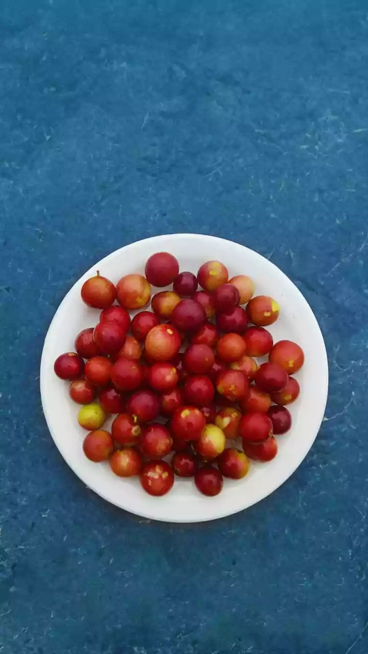 Cranberries: A Vrat-Friendly Navratri Treat