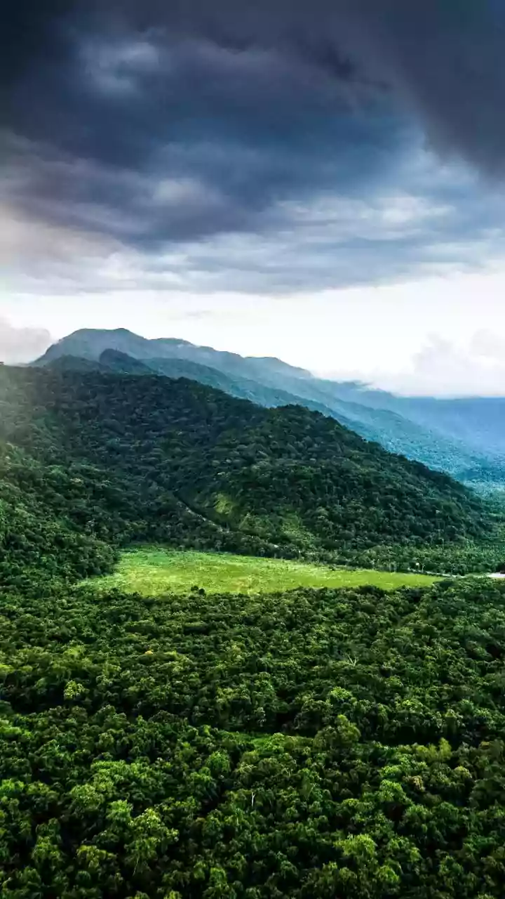Live Weather Charts Simplify Scenic Western Ghats Road Trips