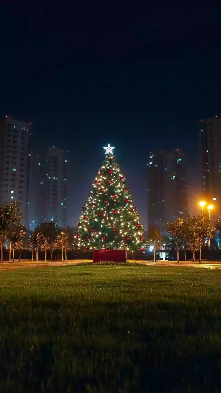 Christmas in Kolkata: A Complete Guide to Park Street’s Festive Magic