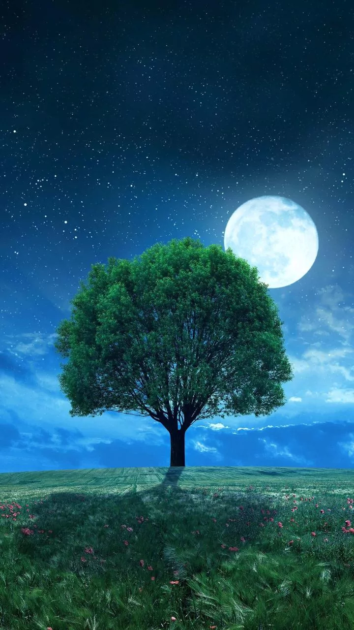 2026's Full Flower Moon: Deep Insights into May's Potent Lunar Event