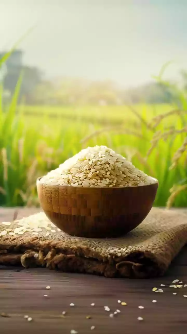 Telangana procures 71 lakh tons of paddy in kharif season, claims all time high