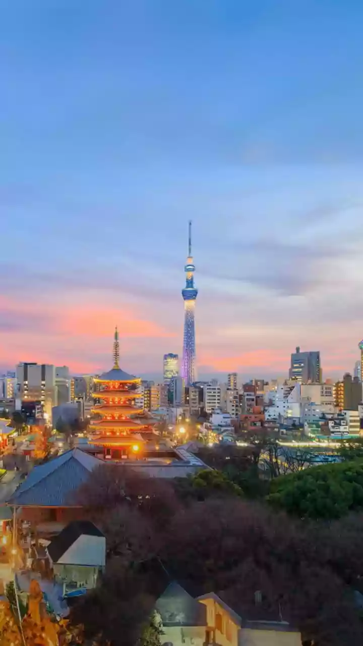 Mumbai To Japan In Nine Days: Inside IRCTC's Multi-City Holiday Package