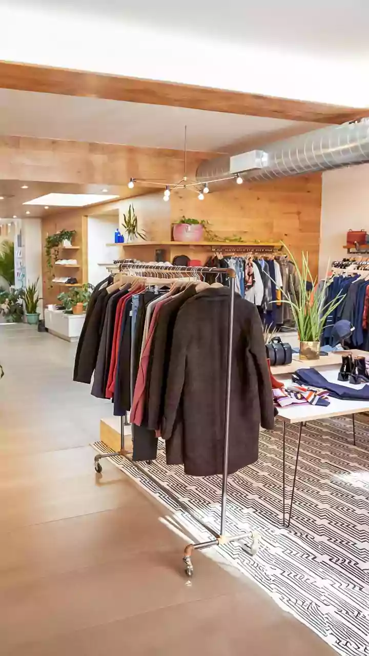 Tommy Hilfiger Teams Up With Spinnova for Sustainable Textiles