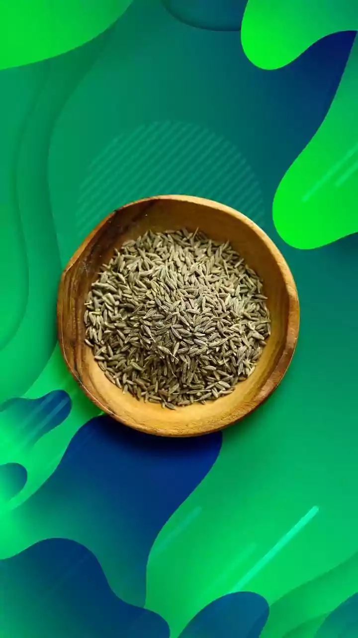 Cumin and Fennel GI Row Tests How India Defines Agricultural Origin