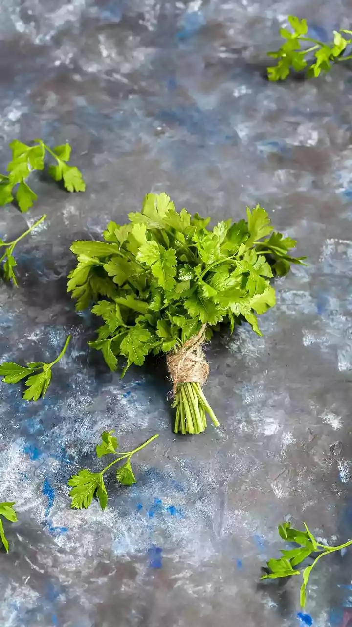 Unlock Weeks of Freshness: Effortless Coriander Storage Hacks for Indian Kitchens