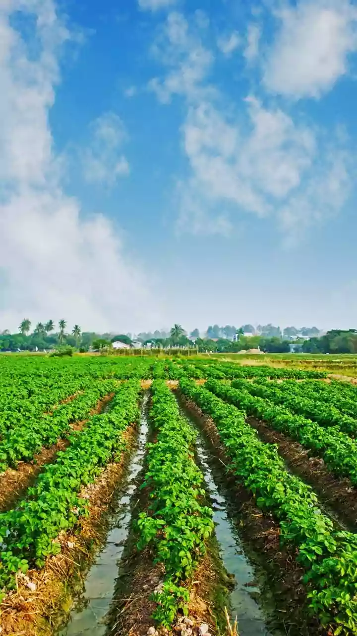 Yogi Adityanath Announces Interest Rate Cut For Small Farmers At UP Cooperative Expo 2025
