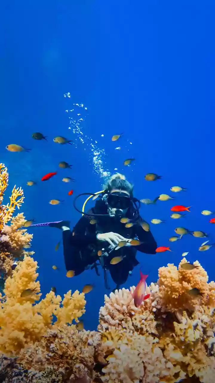 Scuba Diving Adds A Whole New Skill Set To Basic Swimming Confidence