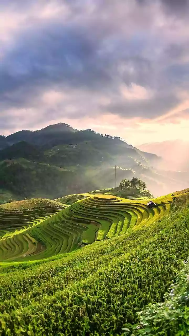 Climate Change and Indian Agriculture: Challenges and Solutions