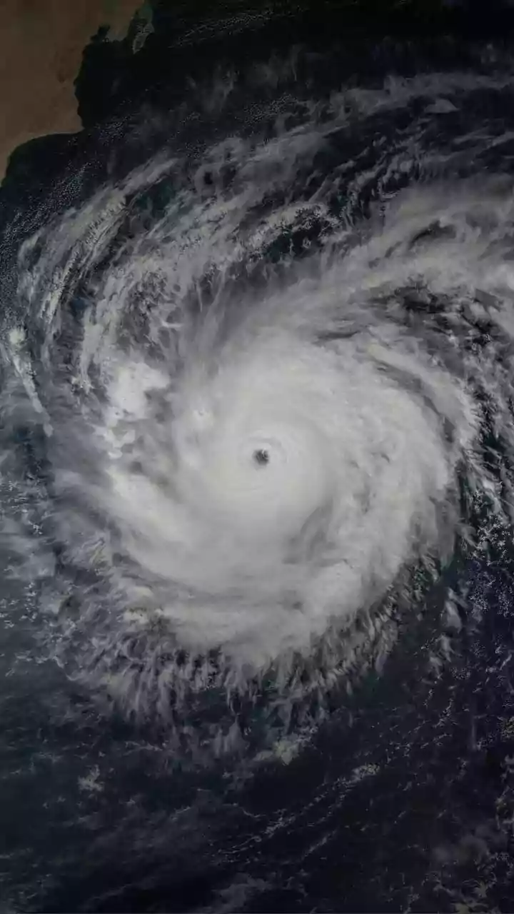 Lanka suffered widespread devastation to agriculture from Cyclone Ditwah: FAO