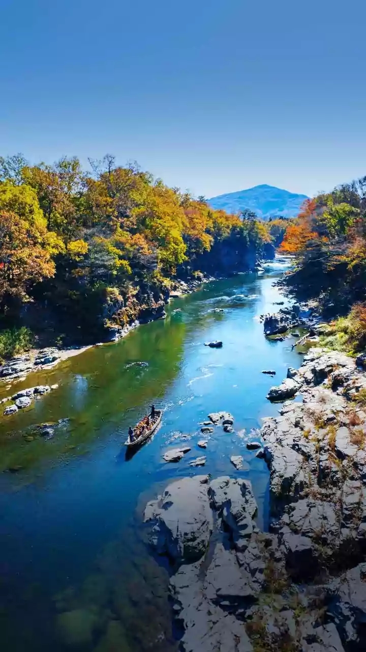 Quiet Himachal Stays: Shoja And Tirthan Valley Offer Peaceful Offbeat Autumn Escapes