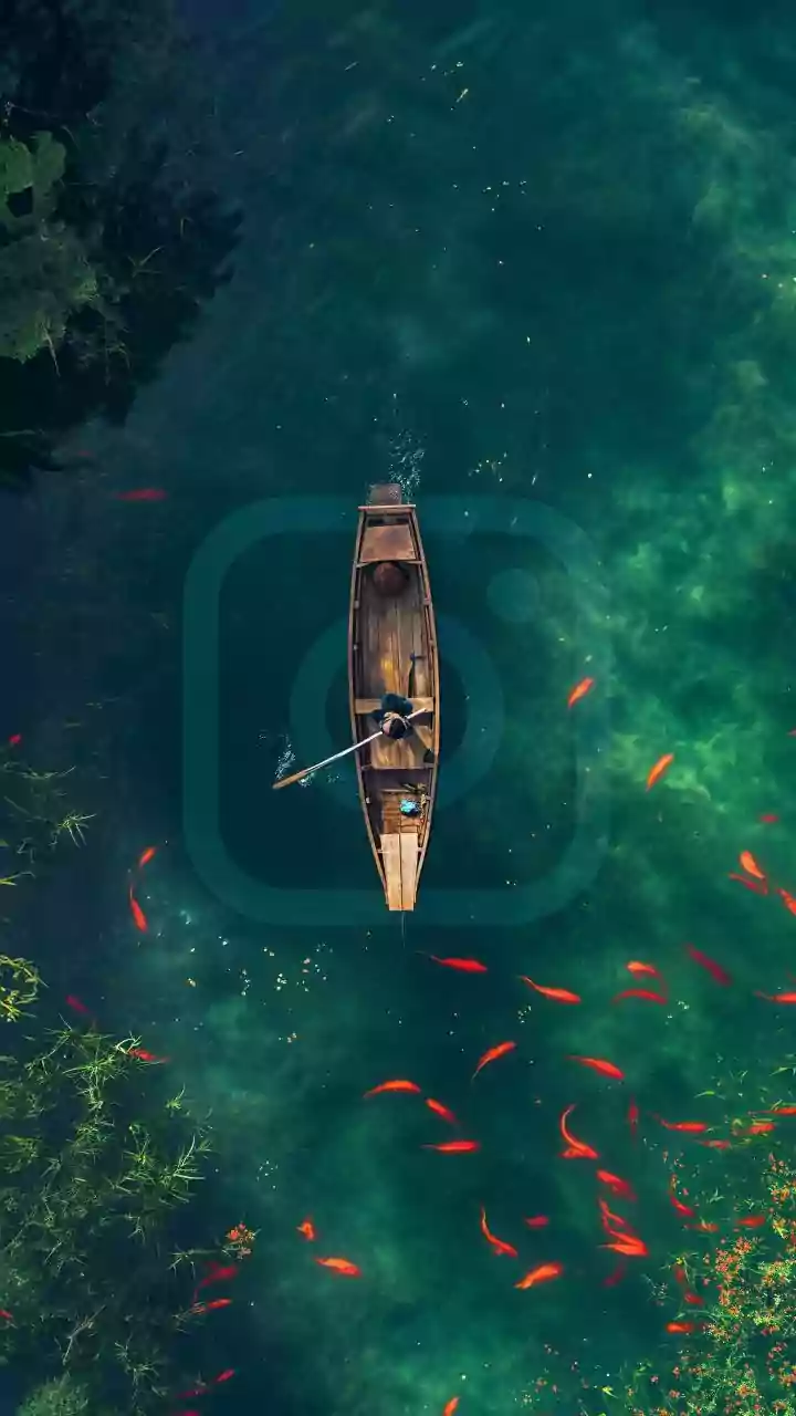 Kerala During Onam: Five Cultural Experiences Worth Building A Trip Around