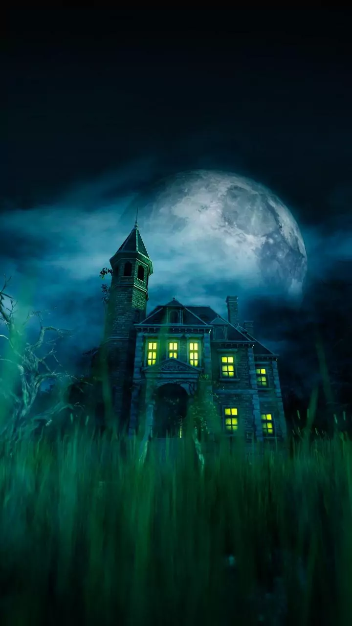 Why thrillers fit India’s winter watching mood