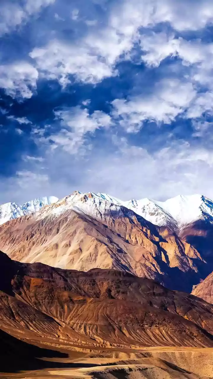 Jhuma Datta: A Lifelong Lens on Nature's Masterpieces, From Ladakh's Peaks to Dubai's Sands