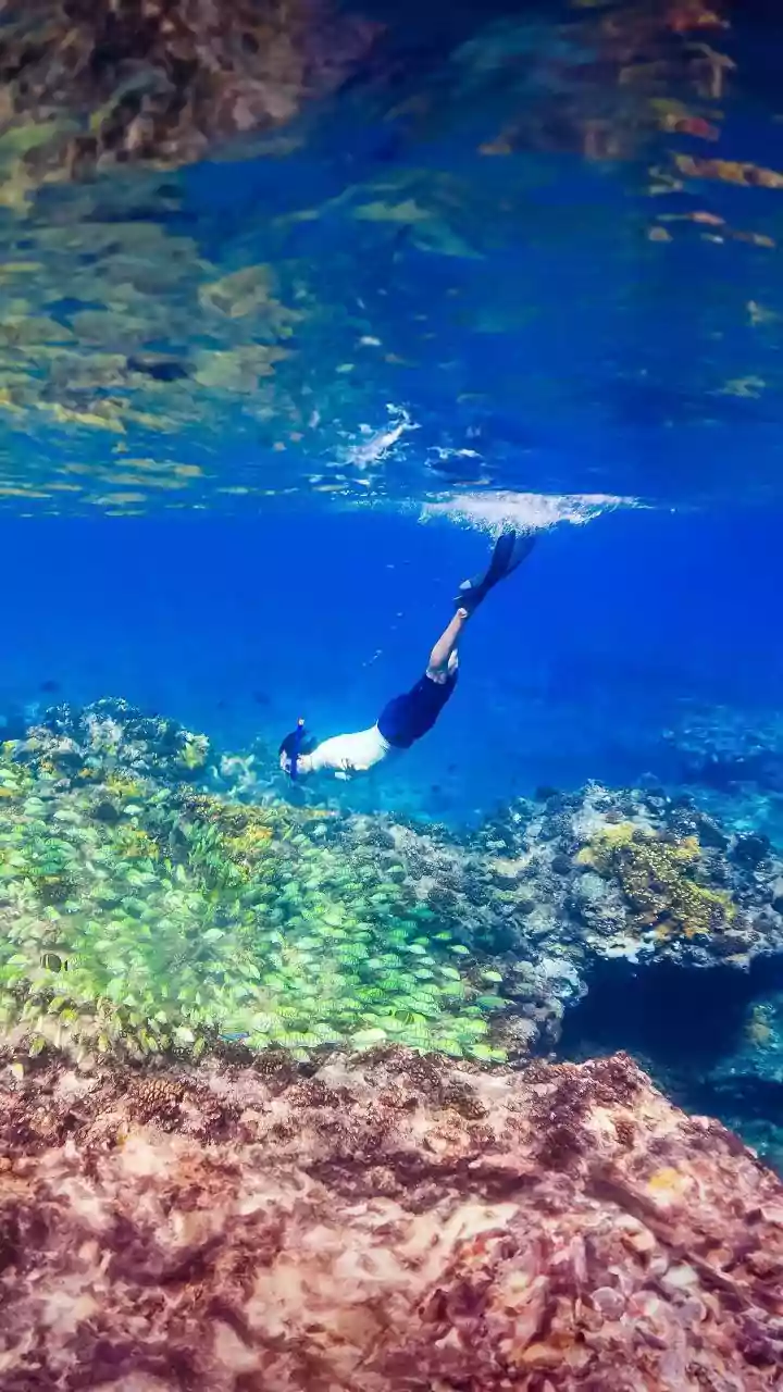 Where to go for snorkeling in Australia