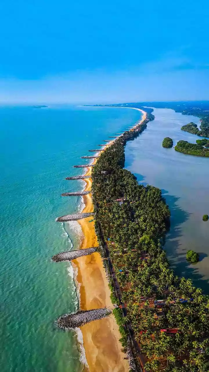 How Ecologists Analyze Human Impact On Kerala's Coastal And Forest Ecosystems