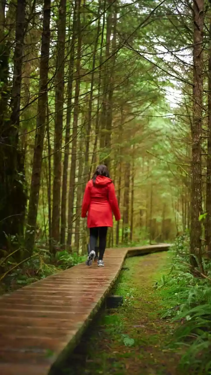 Weekend Hiking In Rain: What First-Timers Should Pack