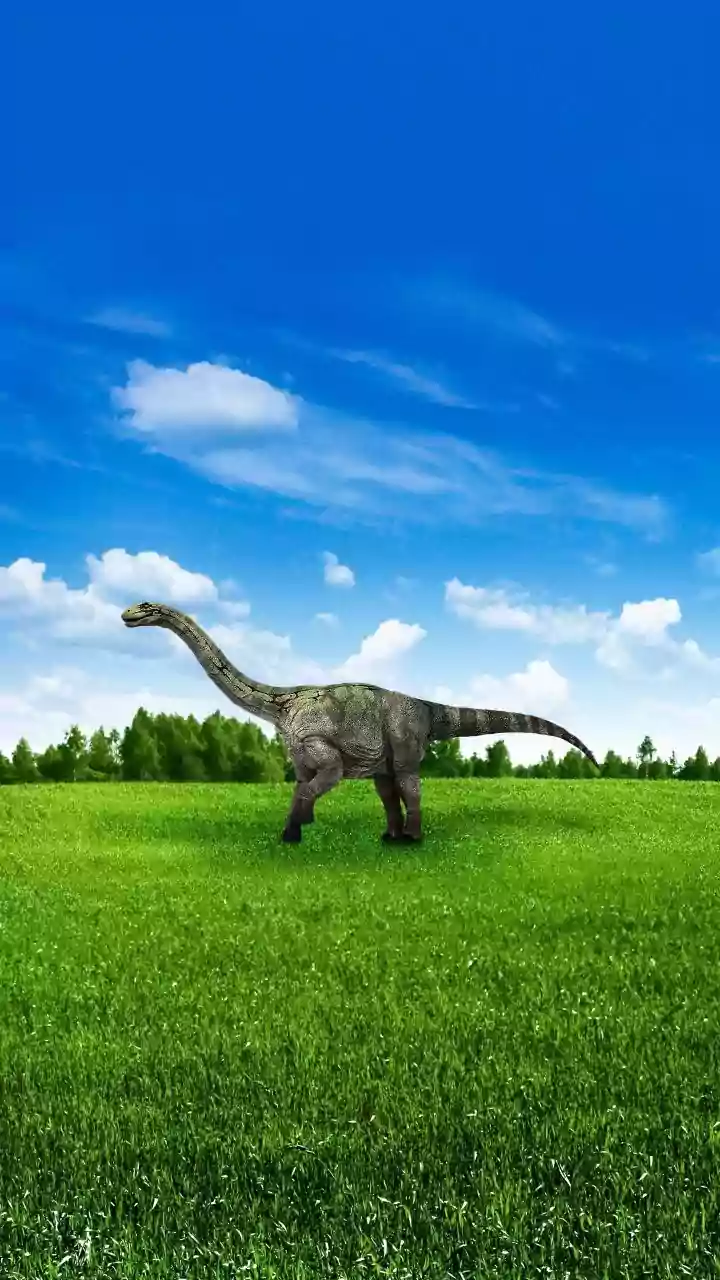 Thousands of 210 million year old dinosaur footprints found in northern Italy