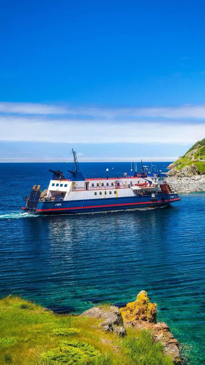 Hantavirus Outbreak Linked to Cruise Ship: Key Facts and Health Implications