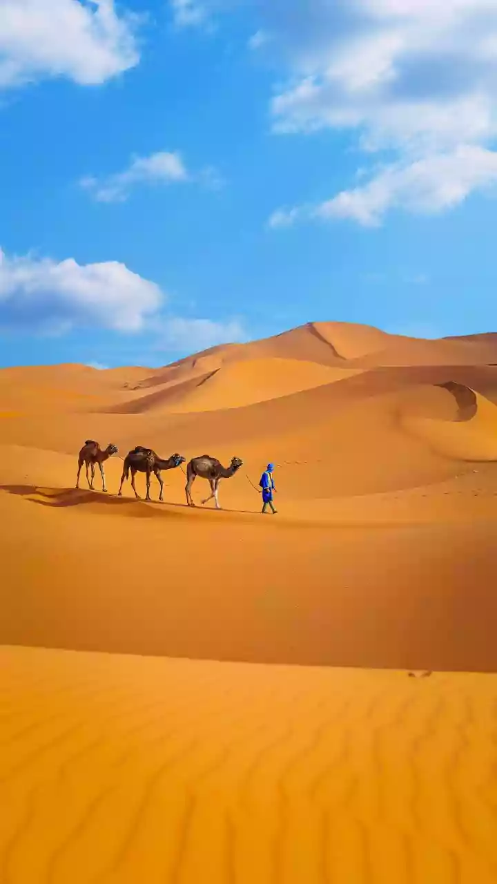 Mali and Burkina Faso ban US nationals in tit-for-tat response to Washington’s travel curbs